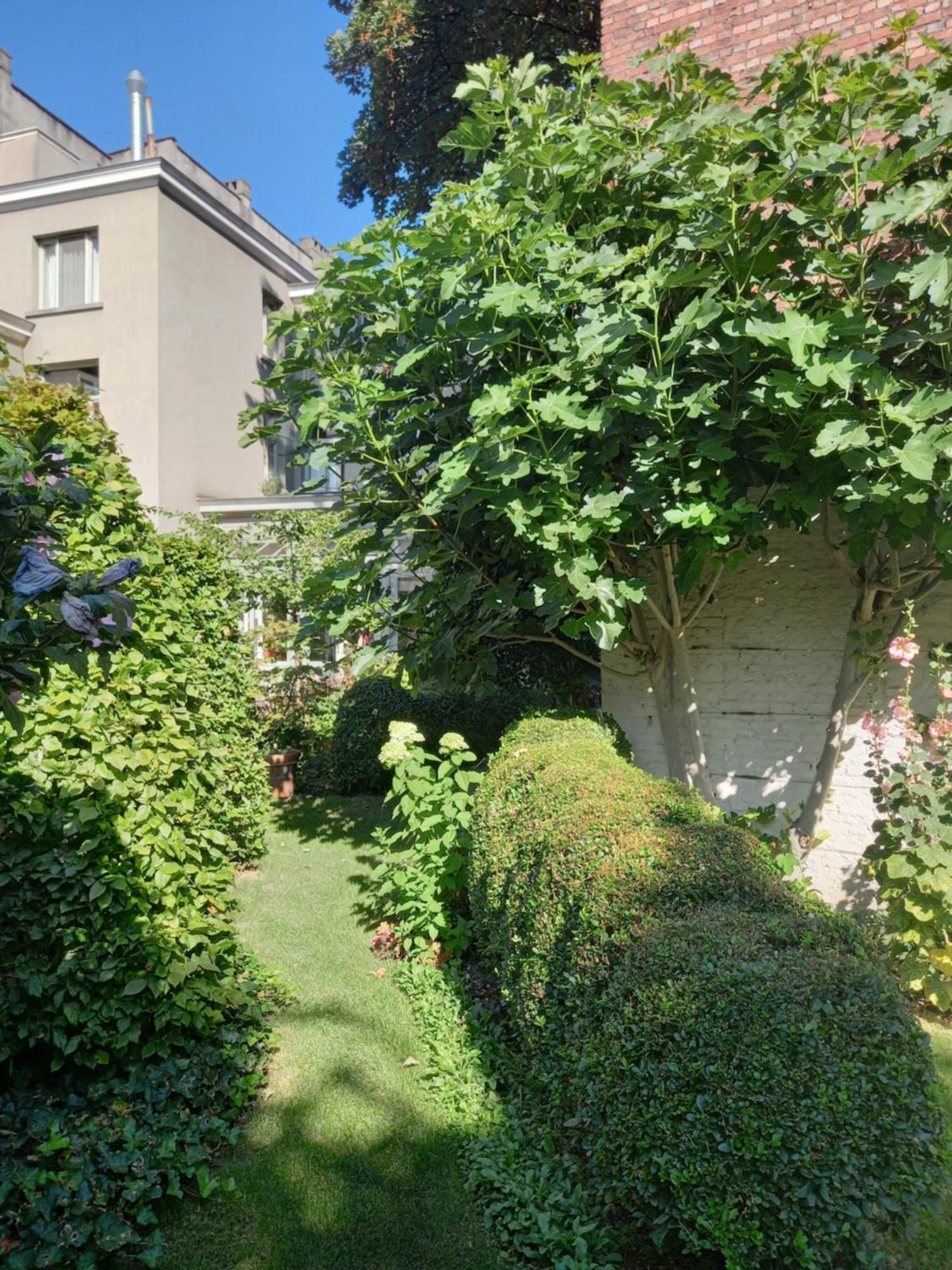 Huis Dujardin Bed&Breakfast アントウェルペン エクステリア 写真