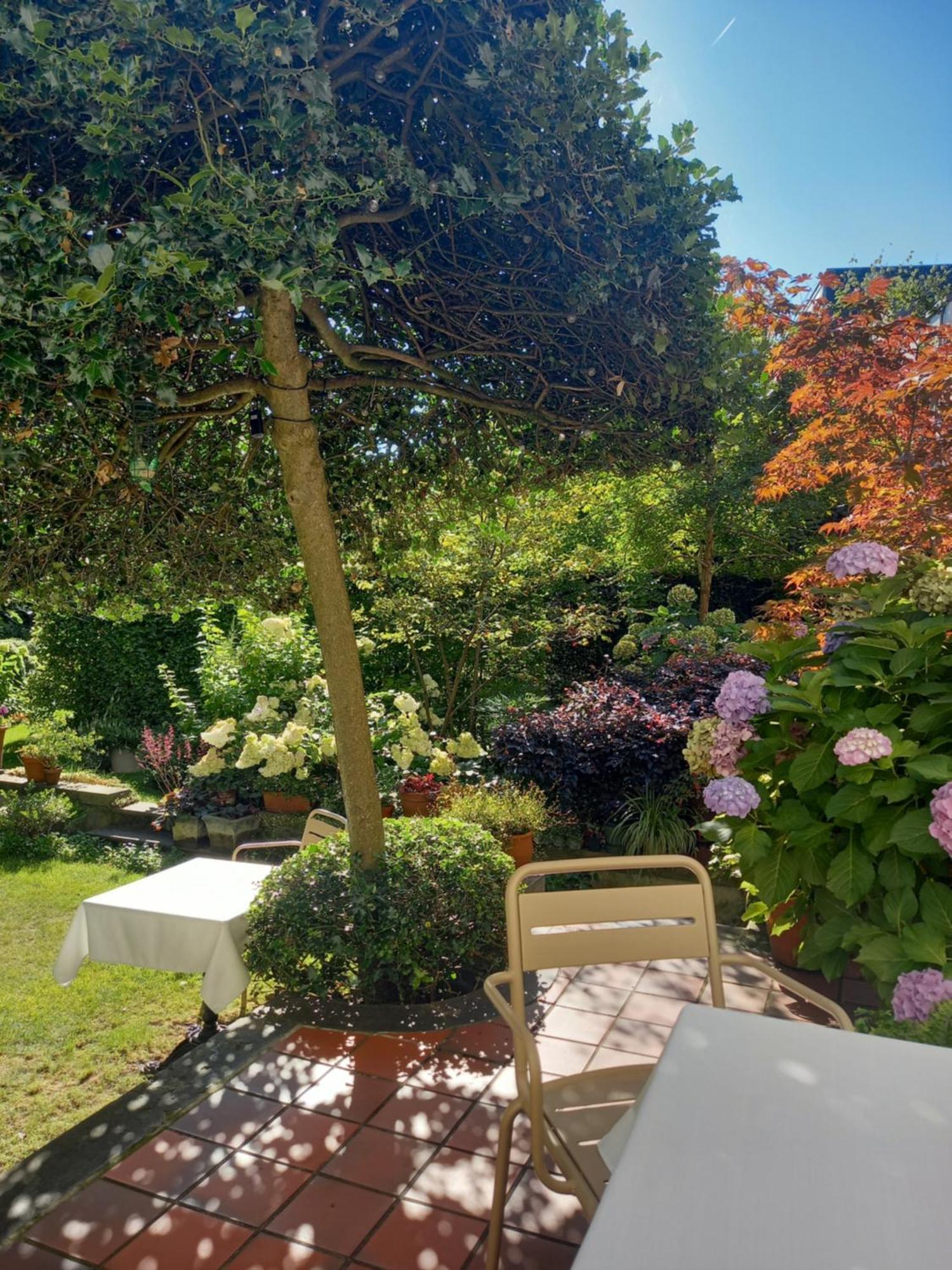 Huis Dujardin Bed&Breakfast アントウェルペン エクステリア 写真