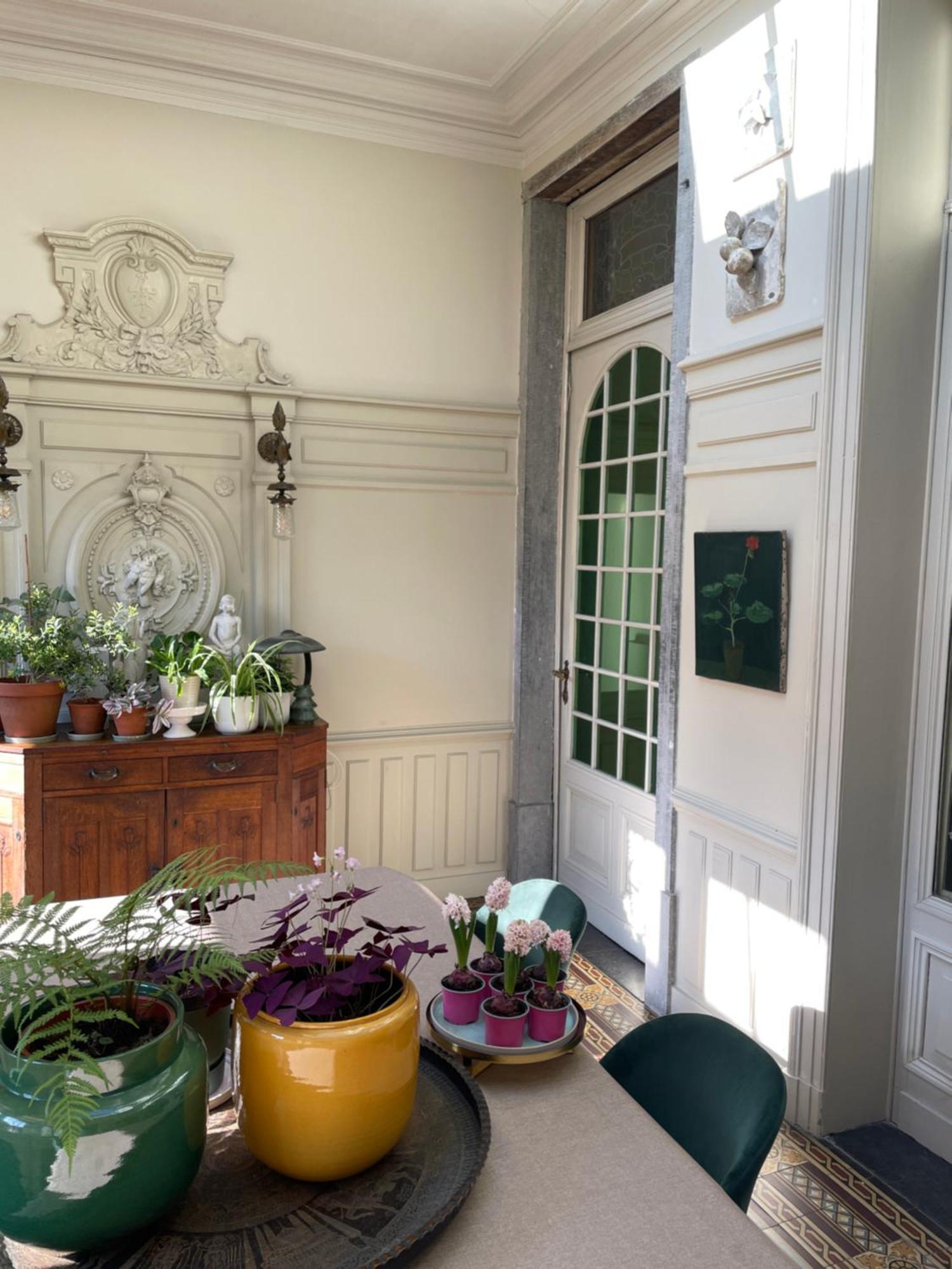 Huis Dujardin Bed&Breakfast アントウェルペン エクステリア 写真