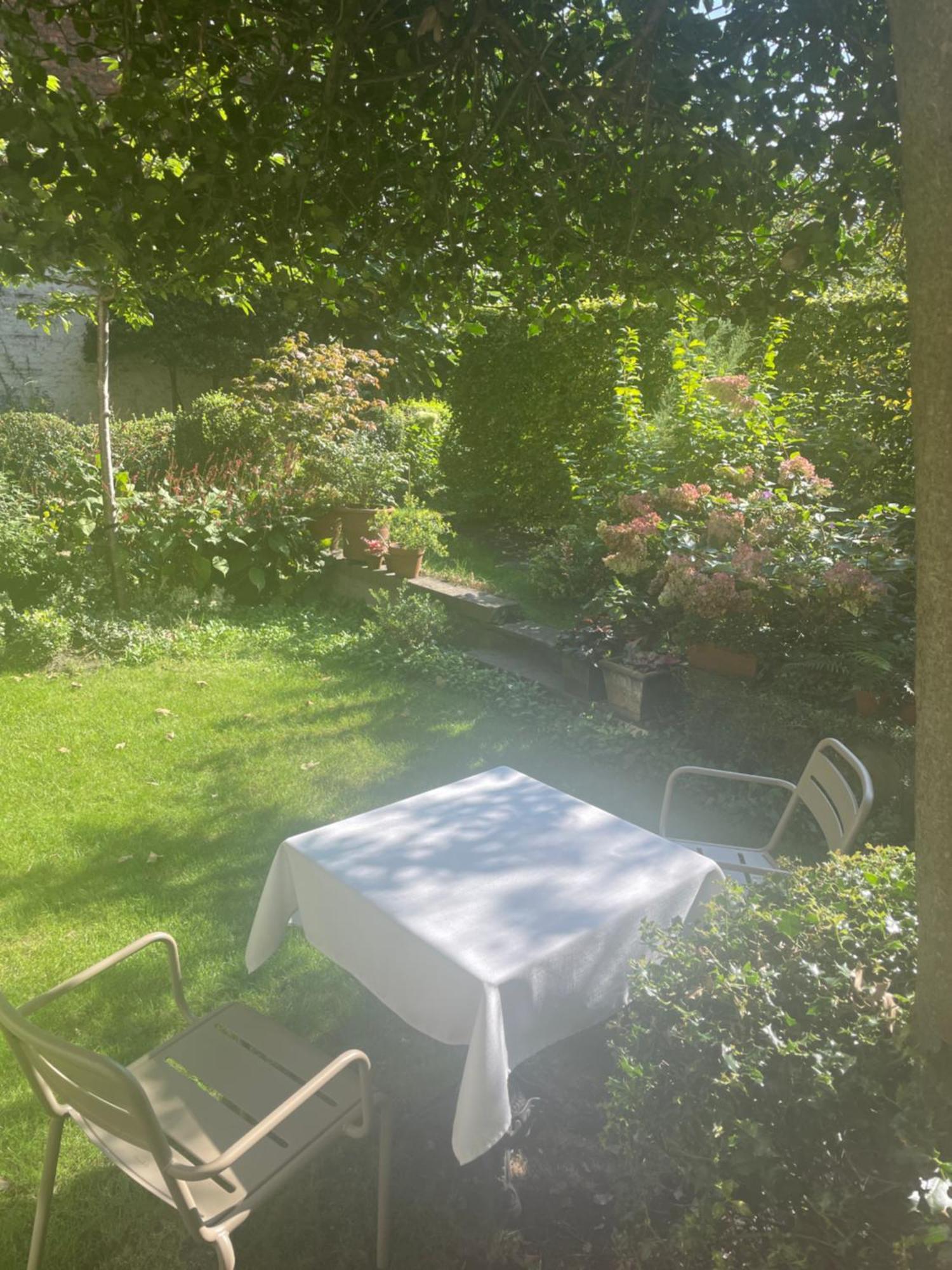 Huis Dujardin Bed&Breakfast アントウェルペン エクステリア 写真